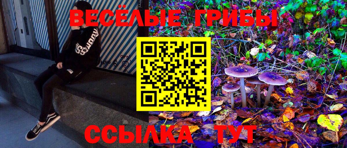 Галлюциногенные грибы Psilocybe Феодосия