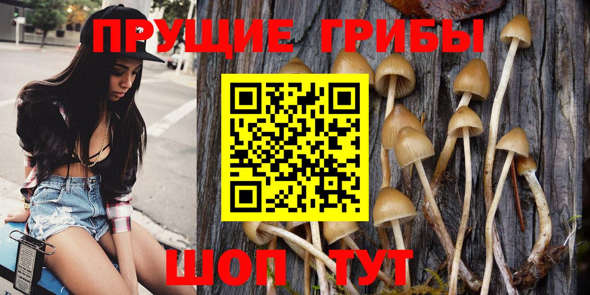 Феодосия  Галлюциногенные грибы Psilocybine cubensis  Вход с VPN  Псилоцибиновые грибы мухоморы 